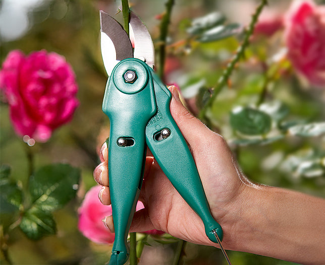 2 in 1 Multi Purpose Garden Shears